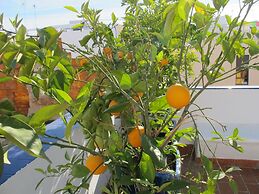 B&B Casa Alfareria 59