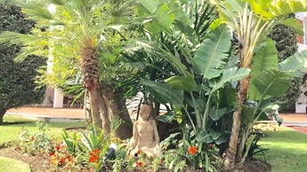 MI CAPRICHO A12 Luxury apartment on the beachfront