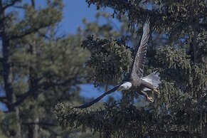 Mountain Peak 4 Bedroom Home by RedAwning