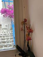 Sea View Apartments & Studios