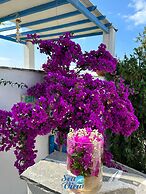 Sea View Apartments & Studios