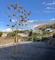 Quinta dos Peixes Falantes
