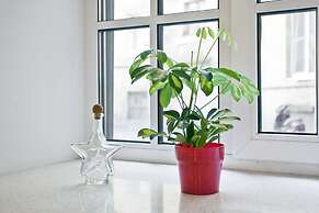 RentalSPb Studio on Nikolskaya