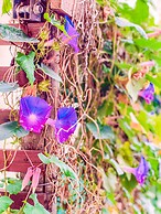 Pousada Quintal da Lua