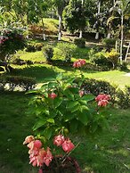 Entre Bosques Tayrona