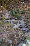 Entre Bosques Tayrona