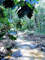 Entre Bosques Tayrona