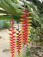 Entre Bosques Tayrona