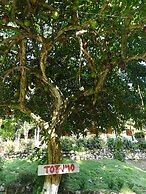 Entre Bosques Tayrona