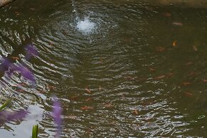 Entre Bosques Tayrona