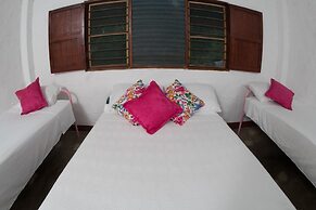 Entre Bosques Tayrona