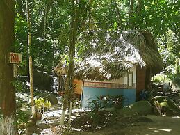 Entre Bosques Tayrona