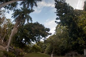 Entre Bosques Tayrona