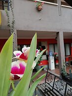 Hotel De Las Culturas