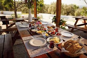 Ionia Guest House