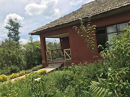 Ingagi Park View Lodge