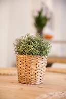 Heidelberg APHEARTMENTS