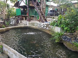 Nature Green Forest Resort