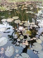 Poivre & Citronnelle