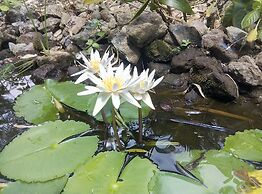 Poivre & Citronnelle