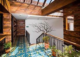 The Cranky Croc Hostel