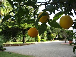 Arenosu a pochi Km dalle spiagge