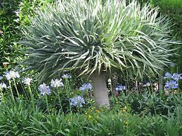 Arenosu a pochi Km dalle spiagge