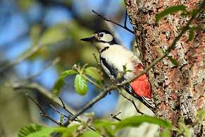 Elm Grove Country House