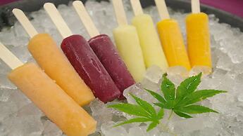 Hamachidorinoyu Kaisyu