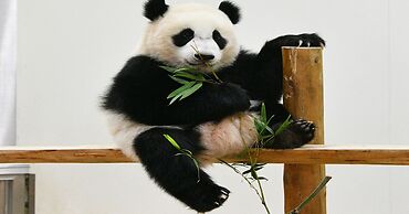 Hamachidorinoyu Kaisyu