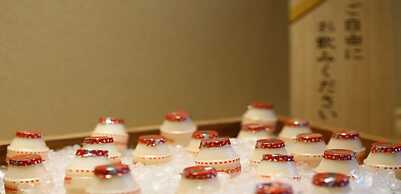 Hamachidorinoyu Kaisyu