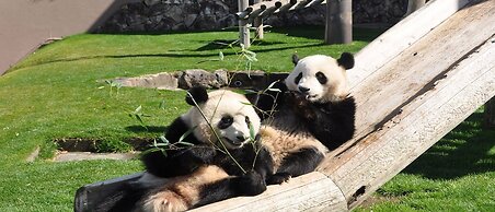 Hamachidorinoyu Kaisyu