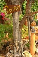 Toko Kamanjab Lodge & Safari