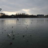 City Center Suites Hannover