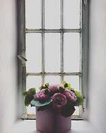 Maji Como Lake apartments