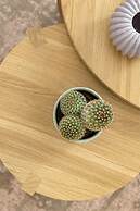 Maryflower Premium Apartments Piraeus