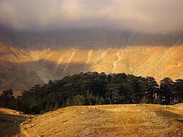 La Maison des Cèdres