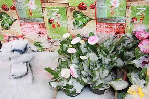 Romantik Landhaus Dresden