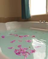 Mount Royal Luxury Condos