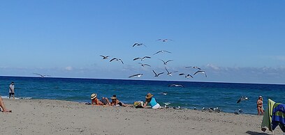 CH Luxury Condos & Studios On The Beach