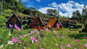 Cabañas la Campiña