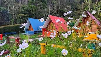 Cabañas la Campiña
