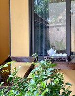 Tam Coc Luxury Homestay