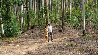 Anasa Wellness Resort