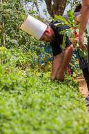 Anasa Wellness Resort