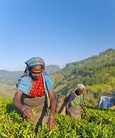 Anasa Wellness Resort