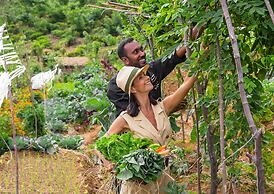 Anasa Wellness Resort