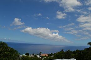 Sous le soleil de la Reunion