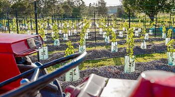 Brisbane North B&B and Winery