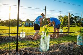 Brisbane North B&B and Winery